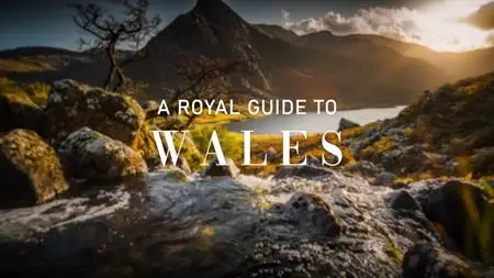 Ch4. - A Royal Guide to Wales (2024)