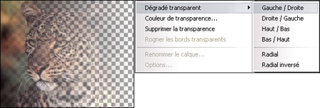 PhotoFiltre Studio X v10.7.1 French + Portable