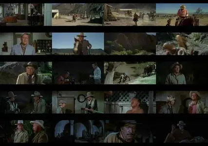 Big Jake (1971)