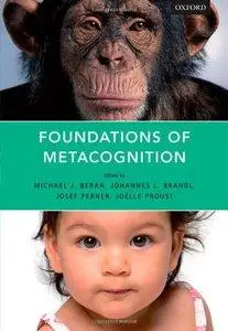 Foundations of Metacognition (Repost)