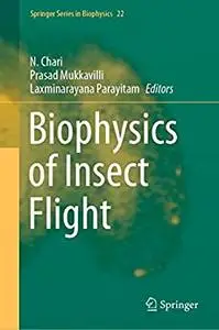 Biophysics of Insect Flight