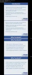 Facebook Marketing 1.0 - Success Through Business pages