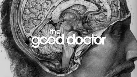 The Good Doctor S02E02