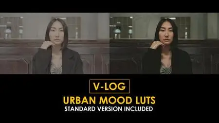 V-Log Urban Mood and Standard LUTs 51434233