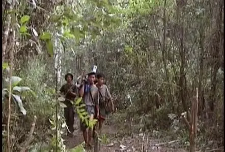 Disarm (2005)