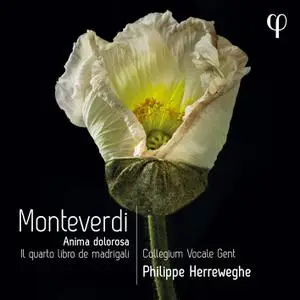 Collegium Vocale Gent & Philippe Herreweghe - Monteverdi: Il quarto libro de madrigali (2022)