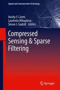 Compressed Sensing & Sparse Filtering (repost)