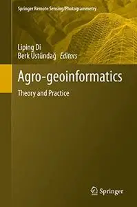 Agro-geoinformatics: Theory and Practice