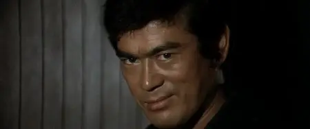 The Street Fighter's Last Revenge (1974)