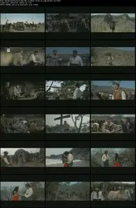 Seven Cities of Gold (1955) 