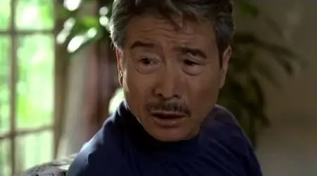 Ang Lee-Yin shi nan nu ('Eat Drink Man Woman') (1994)