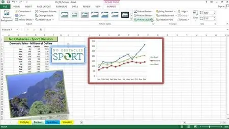 Lynda - Excel 2013: Advanced Formatting Techniques (repost)