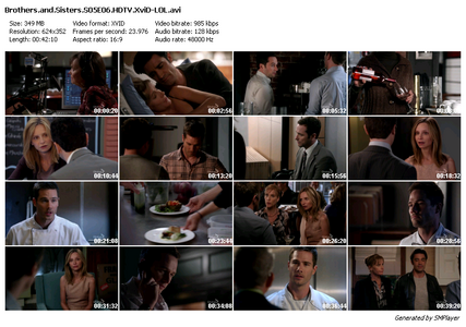 Brothers & Sisters S05E06 : An Ideal Husband