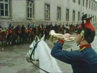 Опасная жалость / La Pitié dangereuse (1979, DVD9 + DVDRip)
