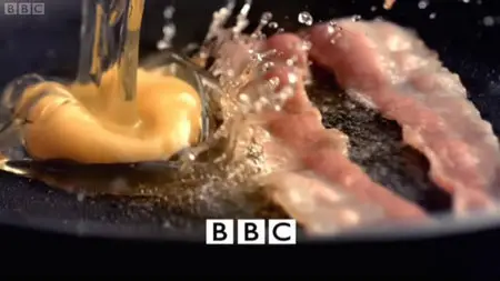 BBC Horizon - Did Cooking Make Us Human?