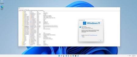 Windows 11, Version 21H2 Build 22000.795 Business & Consumer Editions