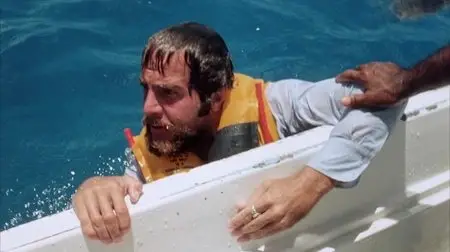 Cyclone (1978)