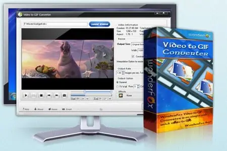 WonderFox Video to GIF Converter 1.2 DC 27.01.2016