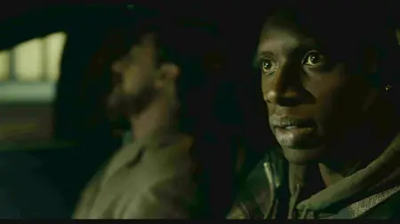 Quasi Amici (2011)