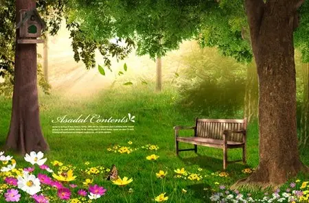 PSD Template - Magic Forest