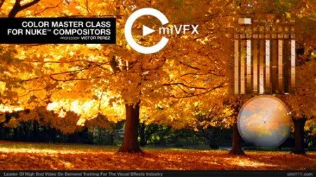 cmiVFX – Nuke Color Masterclass Dual Video Kit