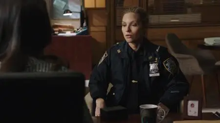 Blue Bloods S09E22