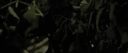 Echo 3 S01E04