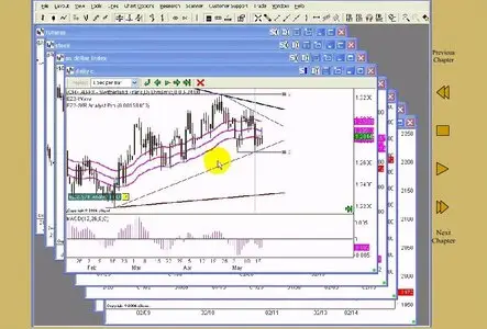 Raghee Horner - Intro To Forex [repost]