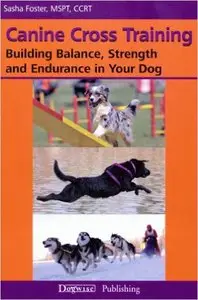 Canine Cross Training: Building Balance, Strength and Endurance in Your Dog