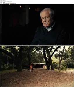 Salinger (2013)