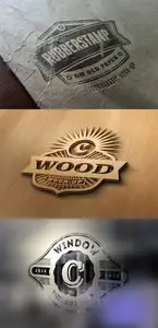 3 Photorealistic Logo Mock up Templates Vol 3