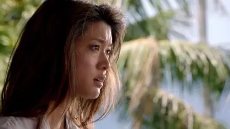 Hawaii Five-0 S03E23