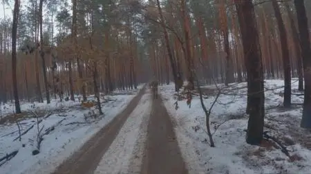 BBC - Ukraine: Enemy in the Woods (2024)