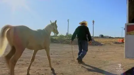 Outback Truckers S09E08