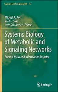 Systems Biology of Metabolic and Signaling Networks: Energy, Mass and Information Transfer