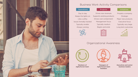 The Technical Business Analyst
