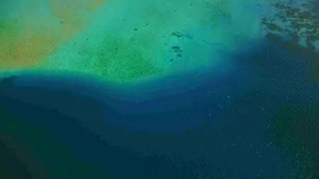 The Last Reef (2012)