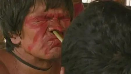 BBC - Tribe Series 1 (2005)