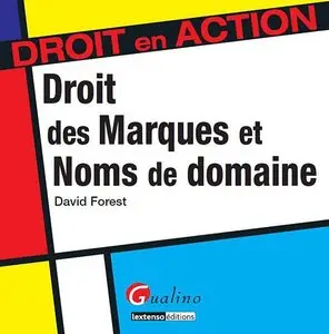 Droit des marques et des noms de domaine