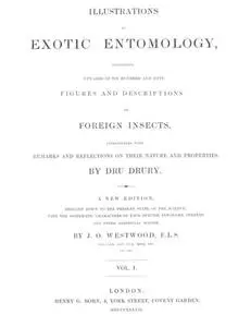 «Illustrations of Exotic Entomology, Volume 1» by Dru Drury
