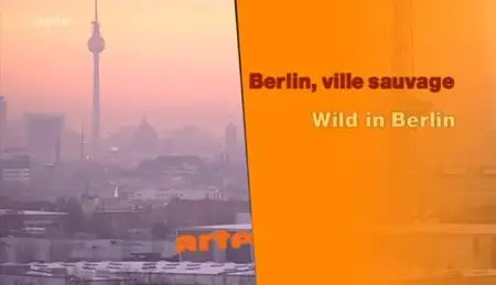 (Arte) Berlin, ville sauvage (2012)
