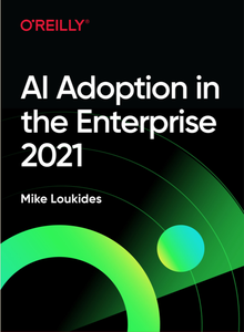 AI Adoption in the Enterprise 2021