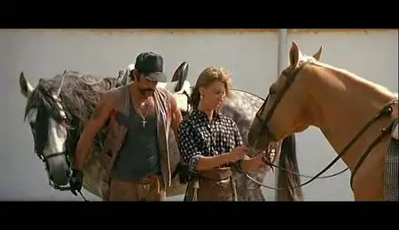 La Belle Histoire (1992)