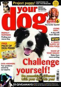 Your Dog – May 2018