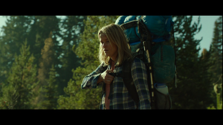 Wild (2014)