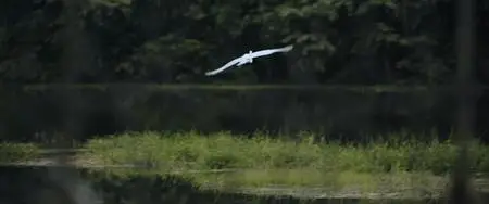 Echo 3 S01E05