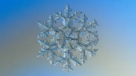 Snowflake - Build & Architect Data pipelines using AWS