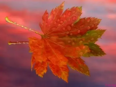 Chris Spheeris - Essentials (2005)