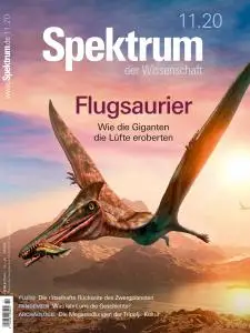 Spektrum der Wissenschaft - November 2020