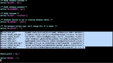 OSTraining - WordPress Security
